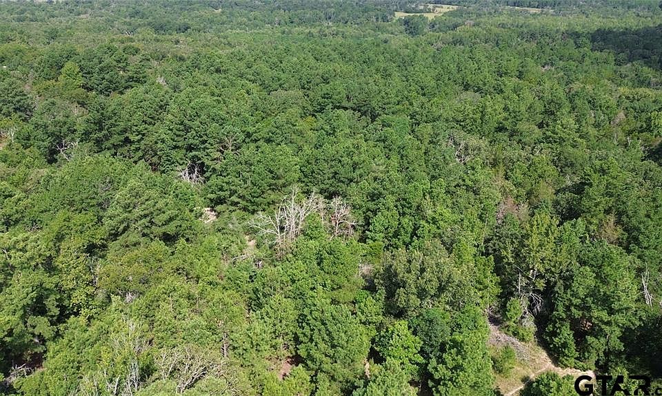 1st image of County Road 331