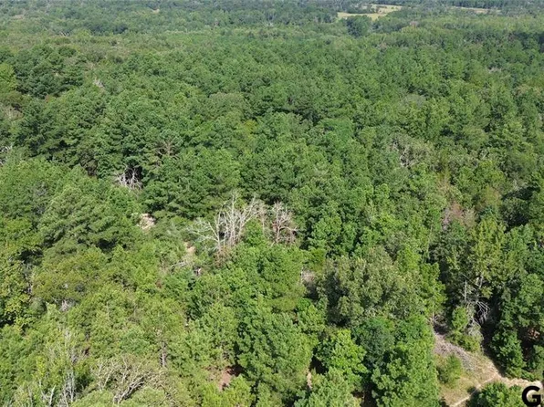 County Road 331, Oakwood, TX 75855