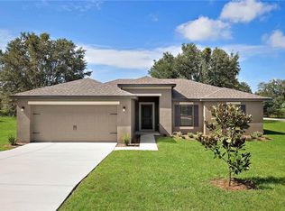 12117 Buttonbush Loop, Leesburg, FL 34788