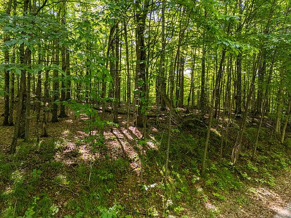 4th image of LOT 7 Smoky Lake Dr