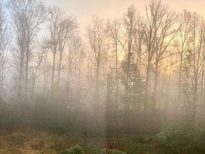 4005 Montglenn Trce, Cumming, GA, 30041