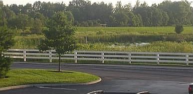 View from Front Door