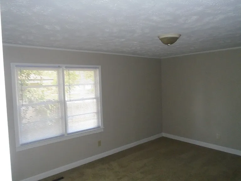 517 Albany St — Photo 14