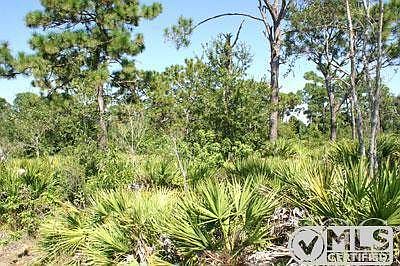 This is taken at the SW corner of the property looking NE.   Beautiful native island species are undisturbed.