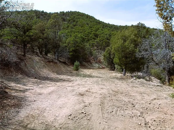 Mineshaft Pl, Cotopaxi, CO 81223