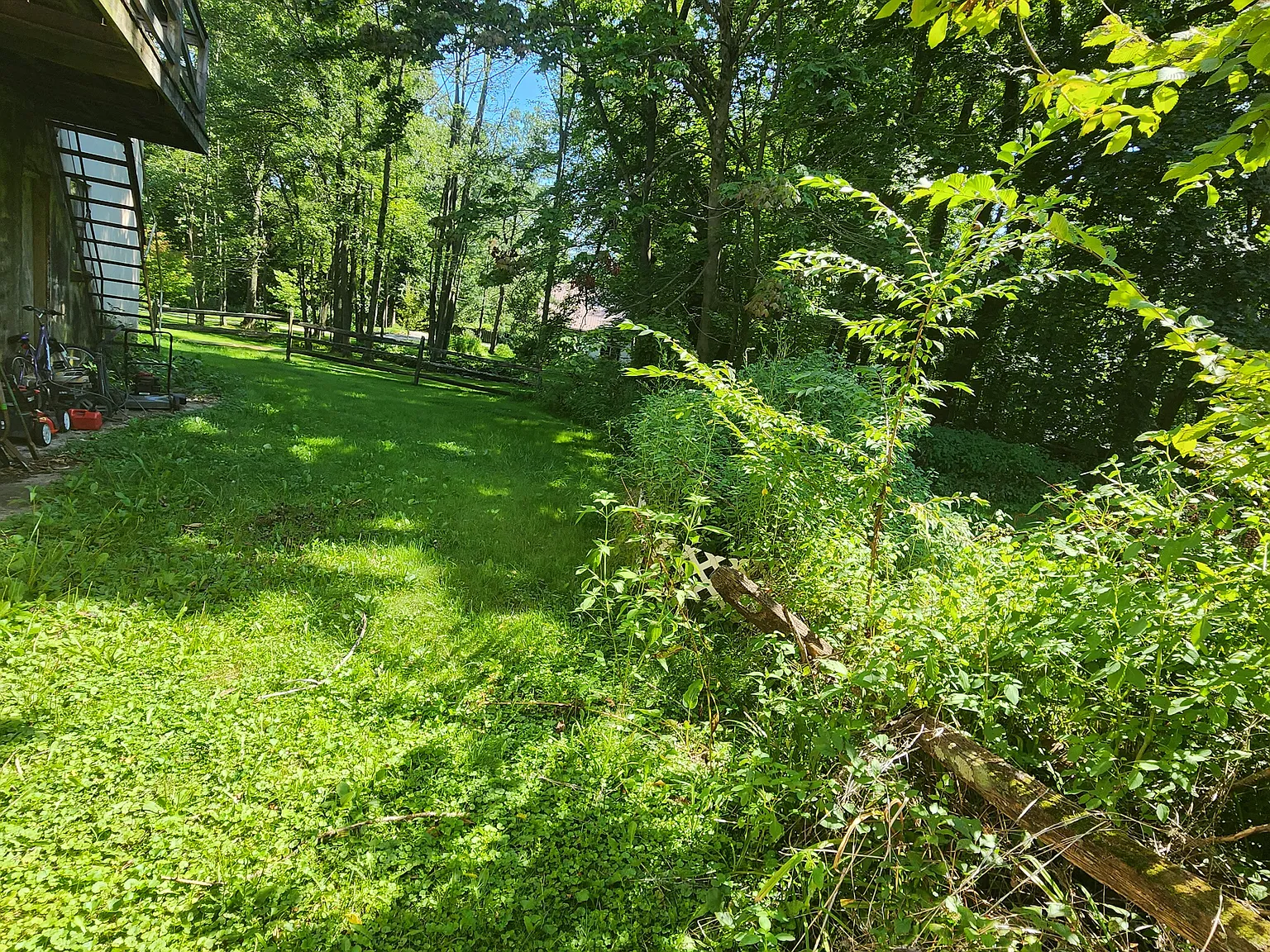 1503 Birdell Rd — Photo 4
