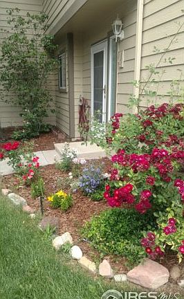 Nicely Landscaped!