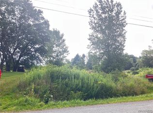 Vl S Hill Rd #15, Colden, NY 14033