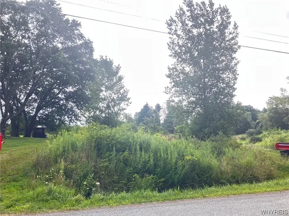 Vl S Hill Rd #15, Colden, NY 14033