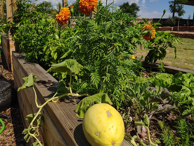 Green thumbs all around