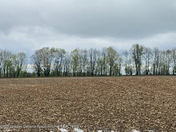 0 W Cutler Rd, Dewitt, MI 48820