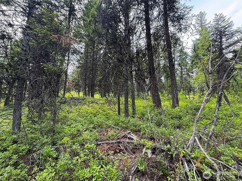 4th image of 0 Mule Deer