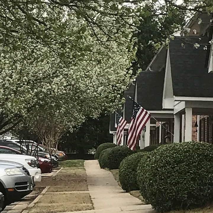 Beautiful townhomes in a natural setting