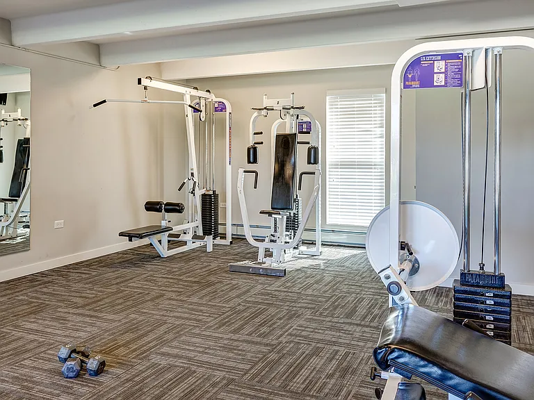 Wellness Starts Here