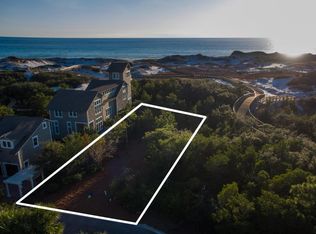 118 Shingle Ln, Watersound, FL 32461