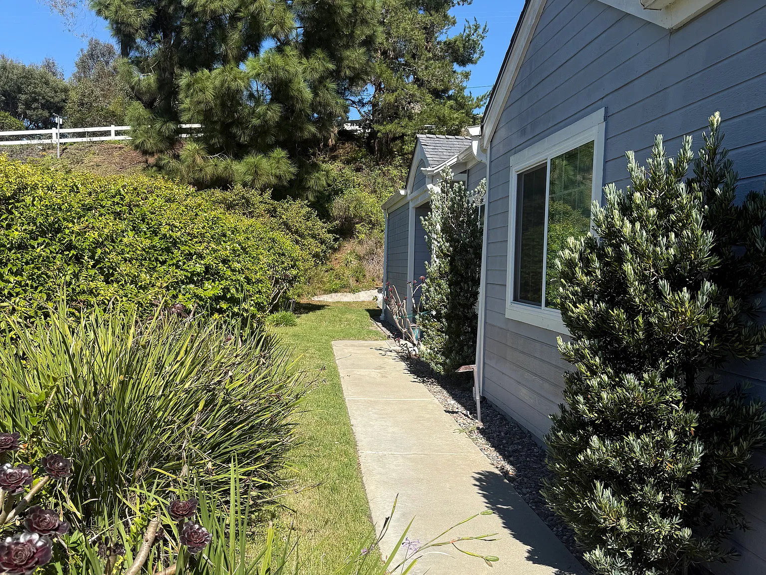 3 bed, 1435 sqft, $3,750 — Photo 2