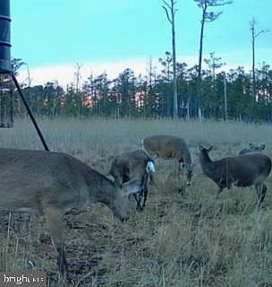 5th image of 7 Mount Vernon Rd