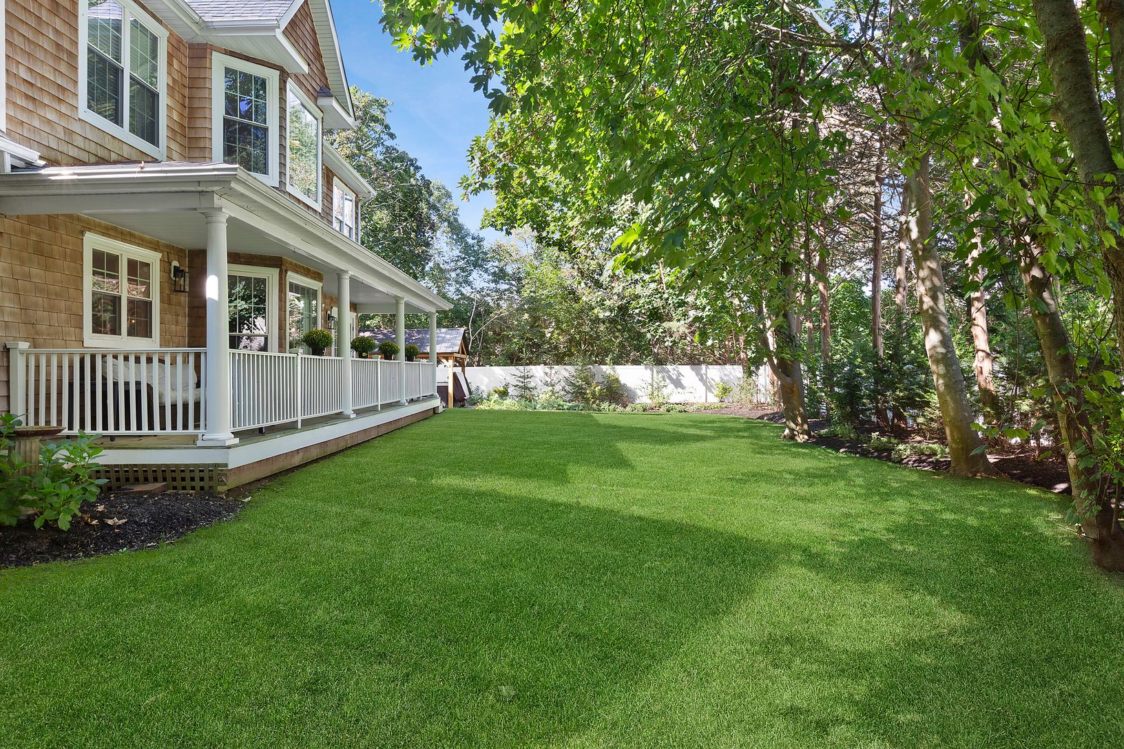  Lush Backyard