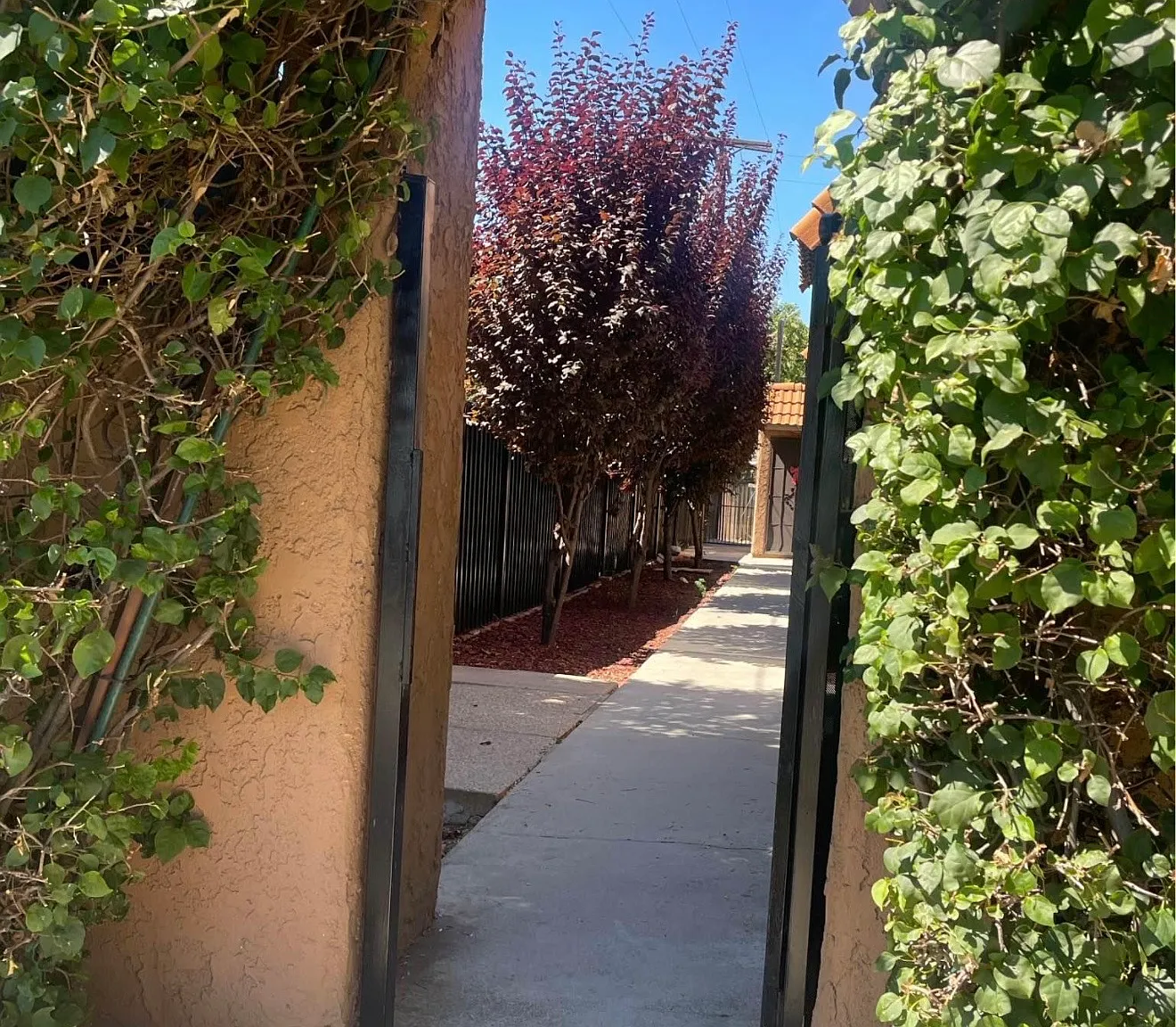 1 bed, $1,890 — Photo 1