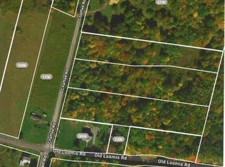 1 Chaffee Rd, Liberty, NY 12754