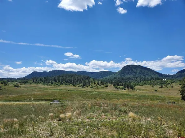 213 Spring Creek Circle, Chromo, CO 81128
