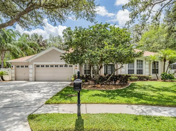 4102 Imperial Eagle Dr, Valrico, FL 33594