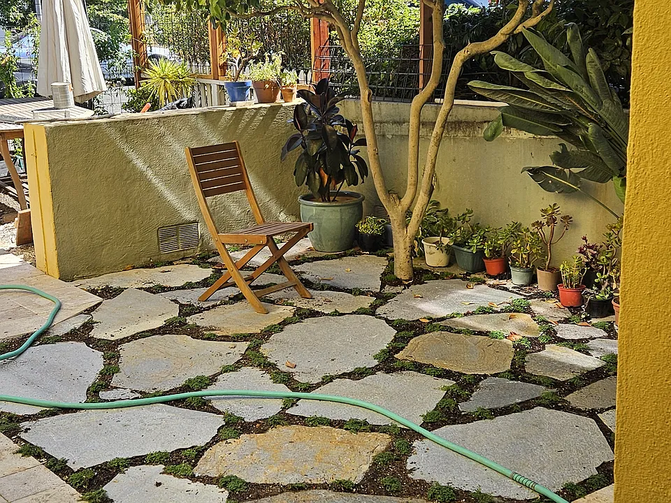 Front yard
