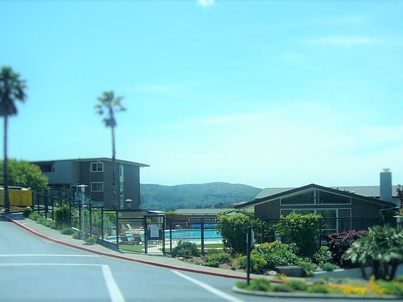 TIBURON HILLS VIEW