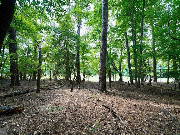 3rd image of LOT 2 Mount Joy Rd