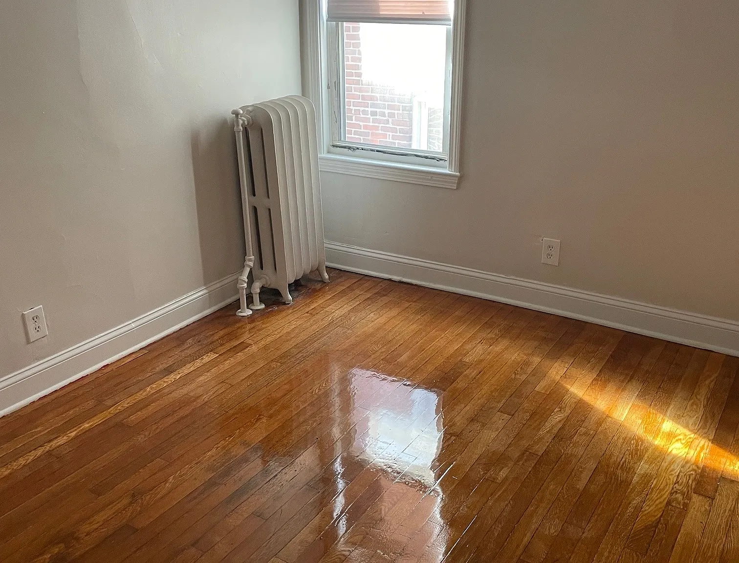 4 bed, 1.0 bath, 1000 sqft, $3,350 — Photo 4