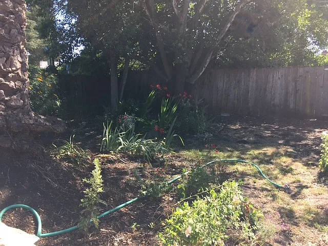 219 Peyton St — Photo 22