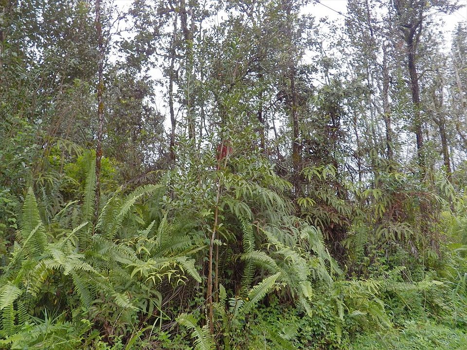 1st image of 36th Ave Lot 9