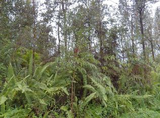 36th Ave LOT 9, Keaau, HI 96749