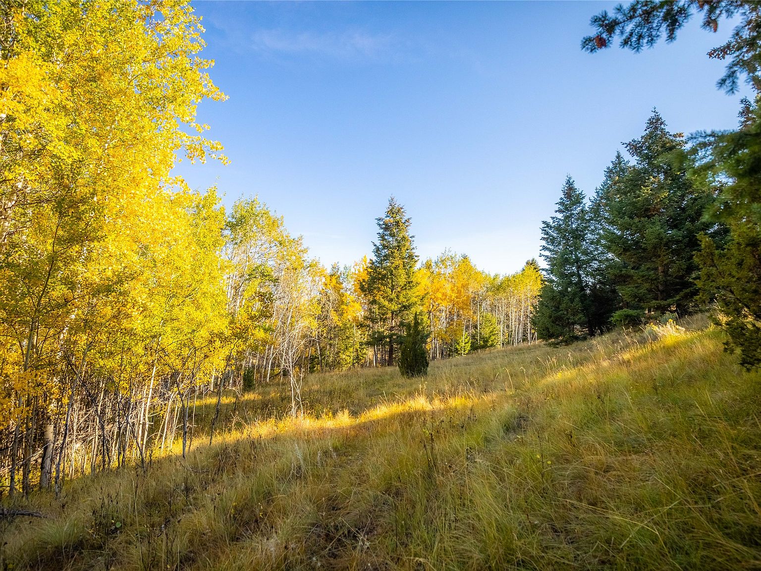 119120 Lone Pne, Ramsay, MT 59748 MLS 30026913 Zillow