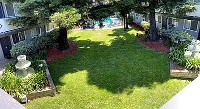 Paseo Gardens — Photo 16