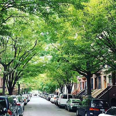 Rented by Owner | media 41