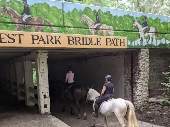 118-82 Metropolitan Avenue image 30 of 35