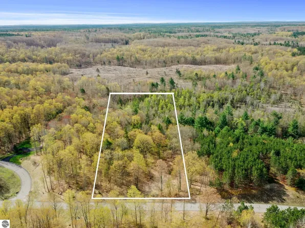 LOT 9 Truax Lake Rd, Williamsburg, MI 49690