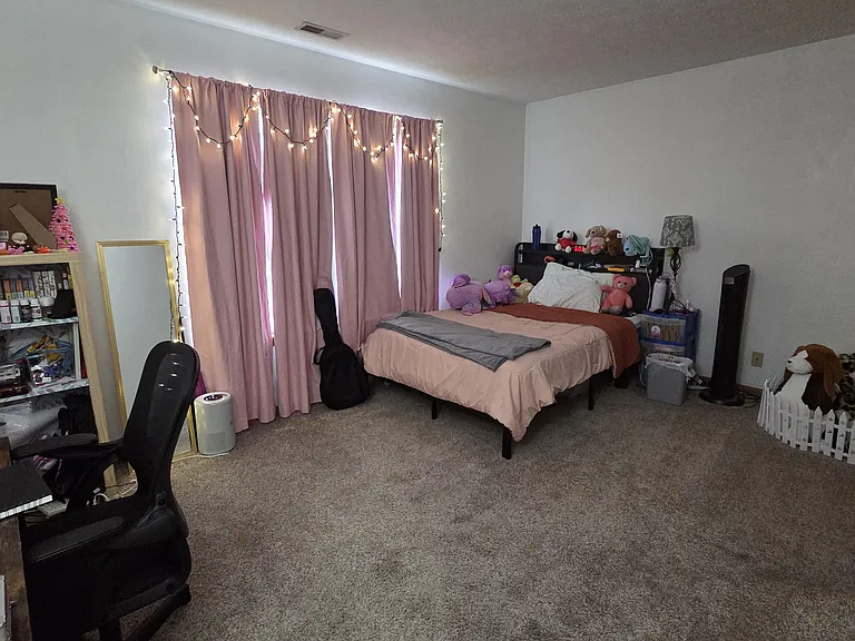 3113 Bluster Dr — Photo 9