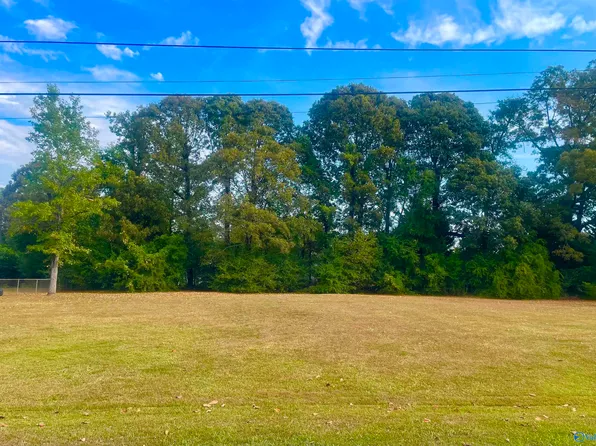 2592 Watson Dr, Southside, AL 35907