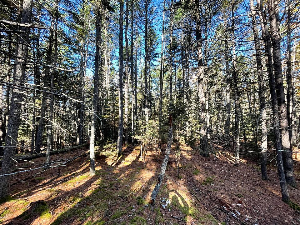 2nd image of 56A-1 Fogg Point Road