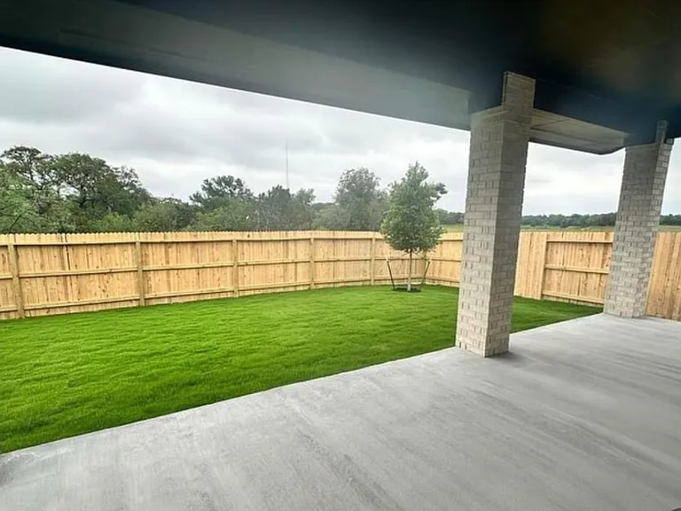 Backyard view