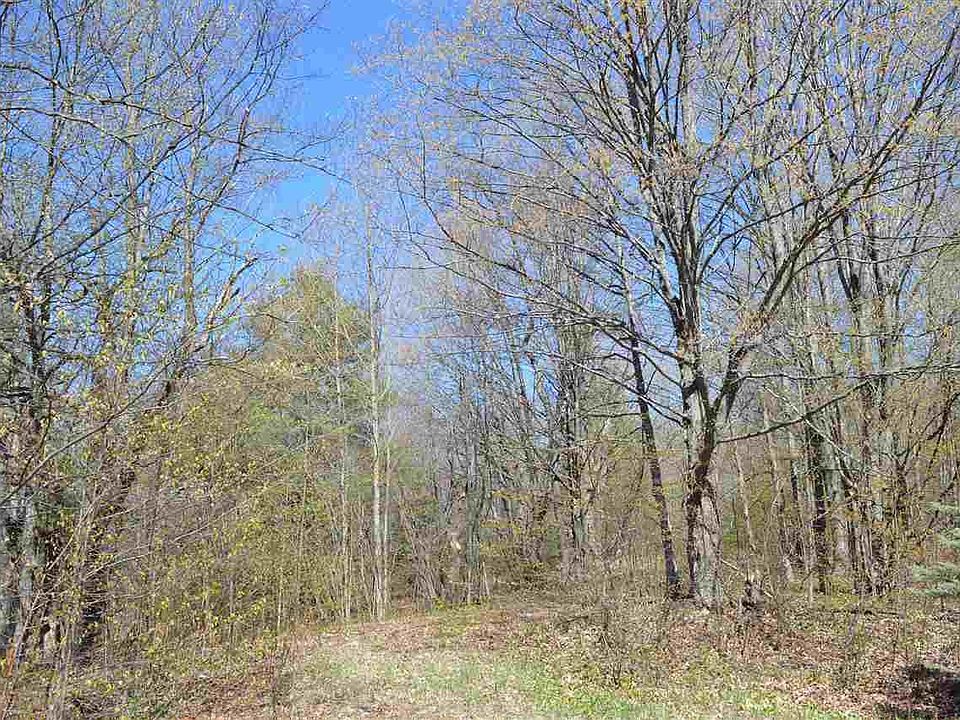 3873 W Bear Lake Rd NE, Kalkaska, MI 49646 Zillow