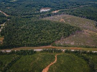 0 Highway 162 S, Covington, GA