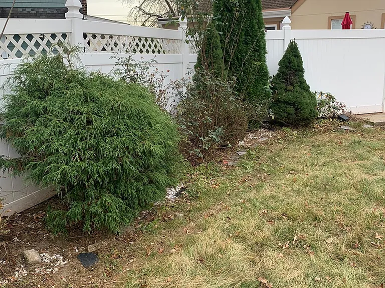 305 West Ln — Photo 2