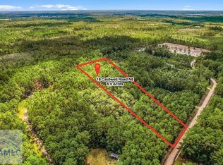 18 Caldwell Rd NE, Ludowici, GA 31316