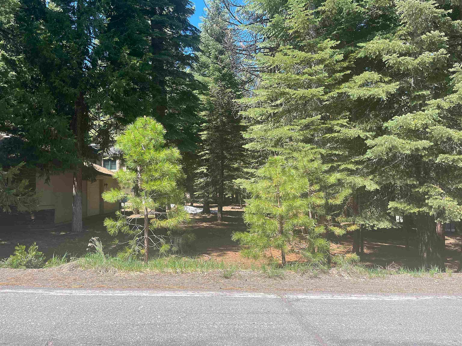343 Osprey Loop, Chester, CA 96020 | MLS #20250297 | Zillow
