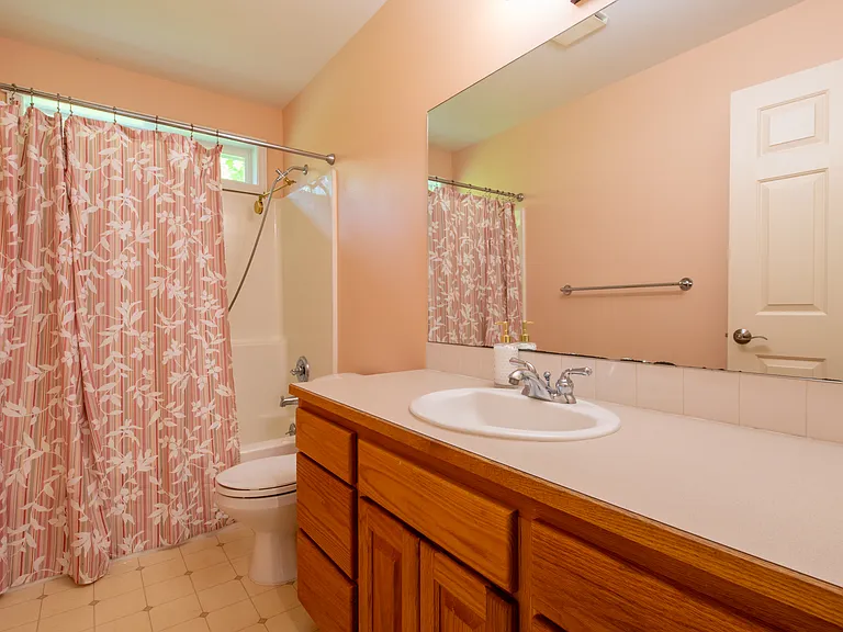 Downstairs Bath 2