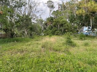 330 Vincent Dr, Mount Dora, FL 32757