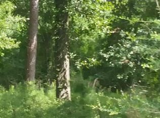 1319 Flamingo St, Conroe, TX 77385